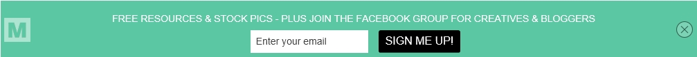 sign up top bar form mailmunch