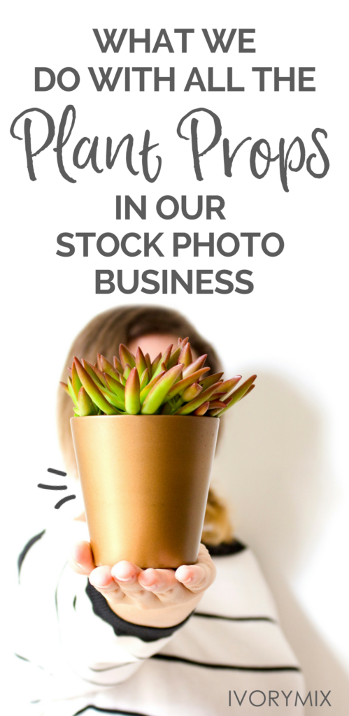 How we care for plants when we are done making stock photos