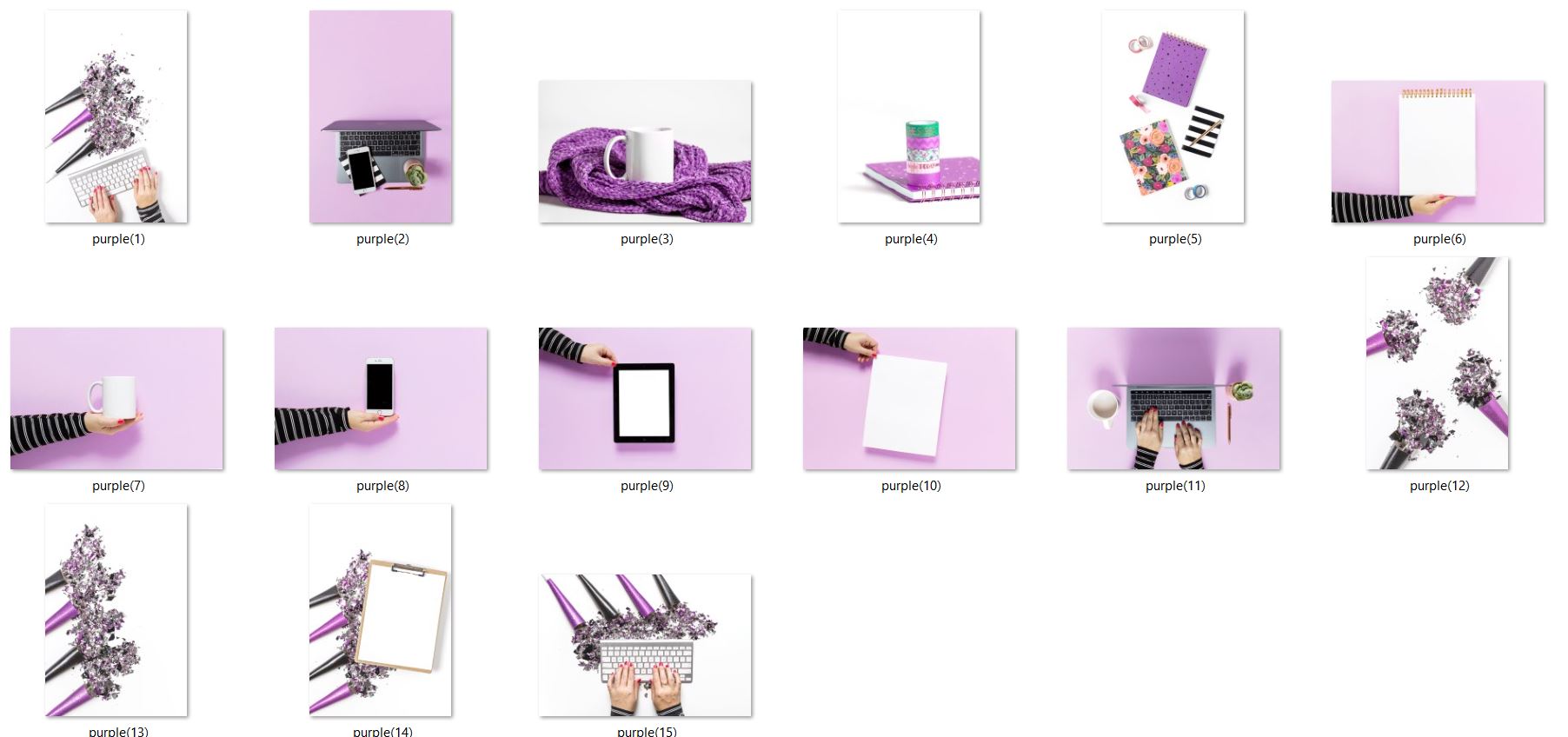 Purple Brand (15 Styled Stock Photos)