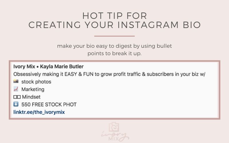 instagram bio example sample for business