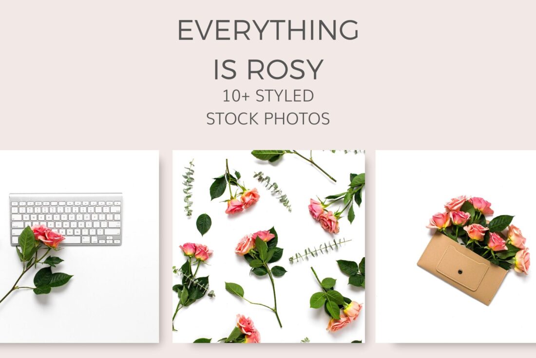 rose_flat_lay_stock_photos