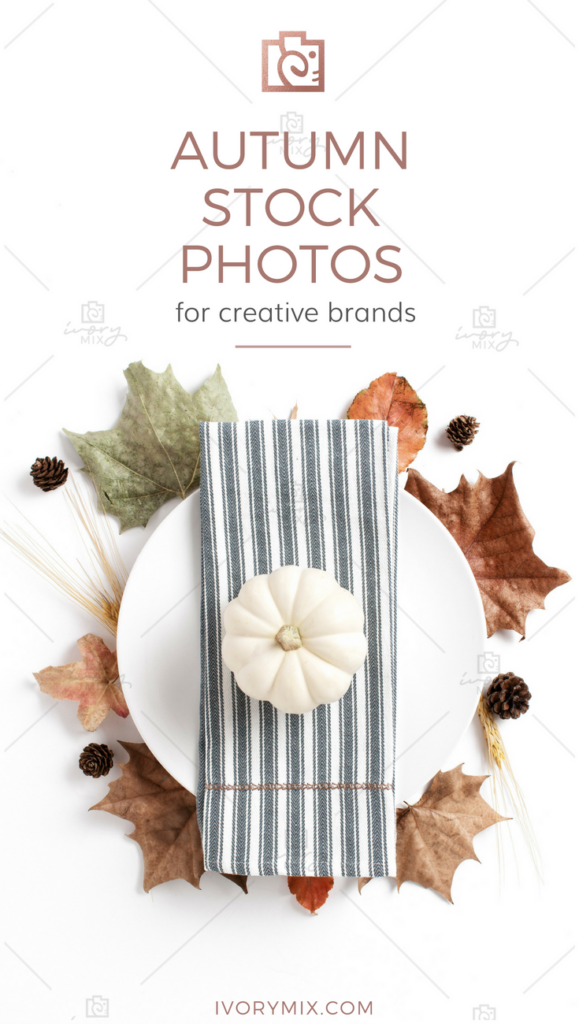 Autumn Thanksgiving Fall flatlay flat lay stock photos for mockups and creative brands