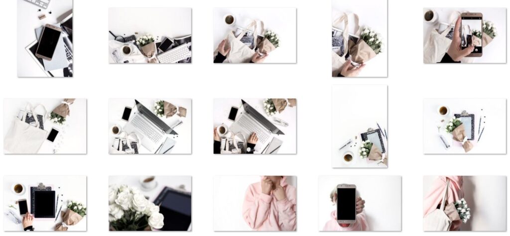 Stock Photos Black White Vintage Blush Rose Pink