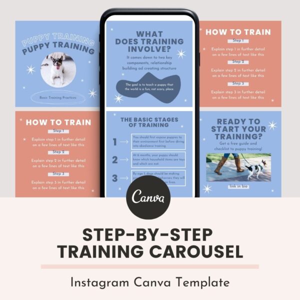 Step-by-step training Instagram carousel canva template