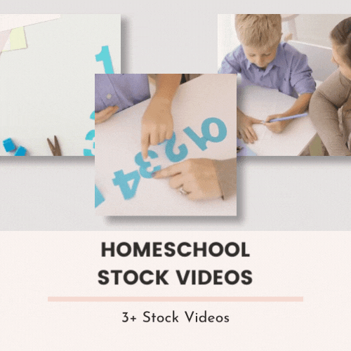 homeschool stock video