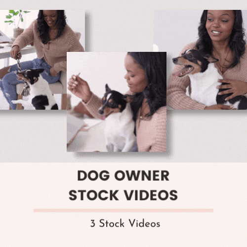 Dog Owner Stock Video