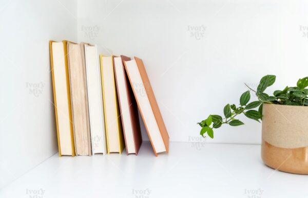 Reading Books Photo 84