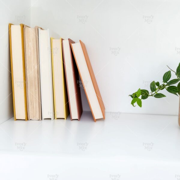 Reading Books Photo 85