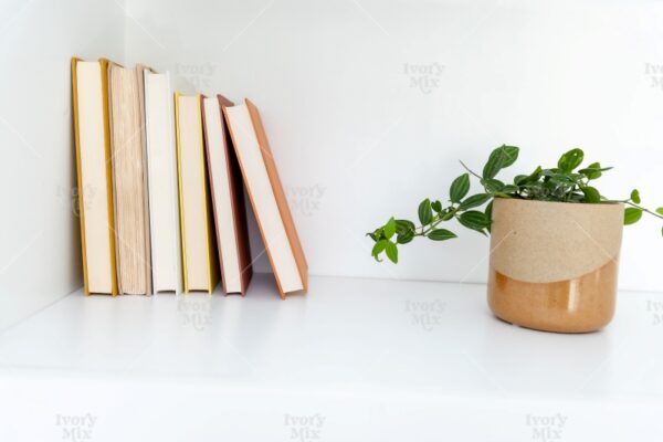 Reading Books Photo 86