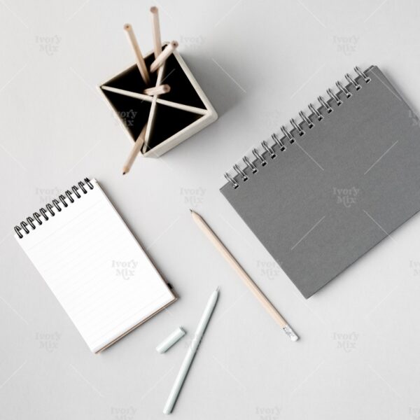 Modern Mockup 31