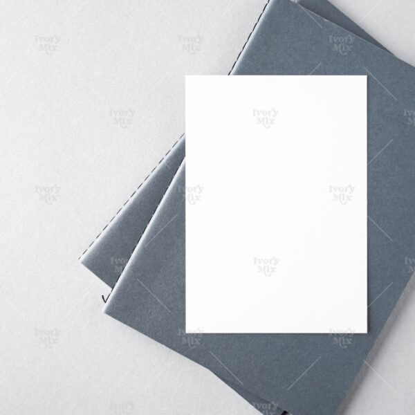 Modern Mockup 33
