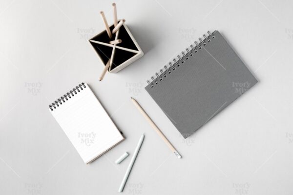 Modern Mockup 49