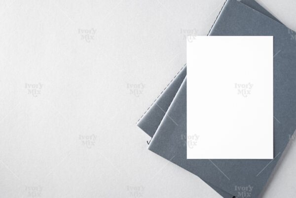 Modern Mockup 51
