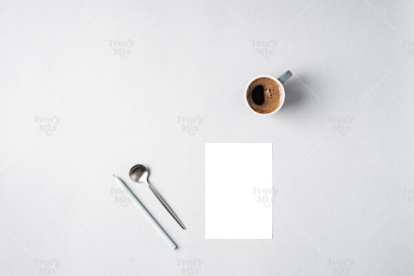 Modern Mockup 55