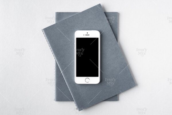 Modern Mockup 59