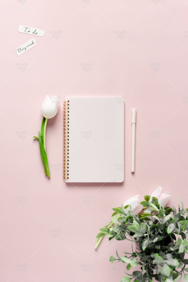 Pink Paper 6