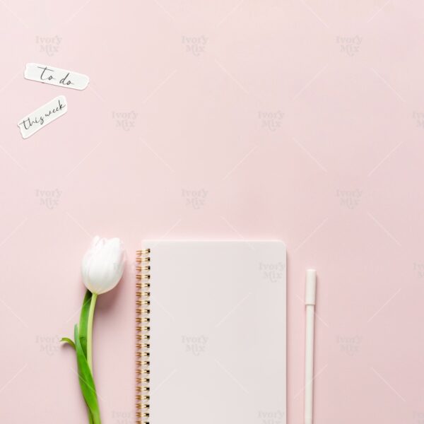 Pink Paper 7