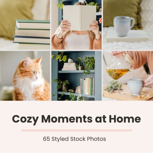 Cozy Moments at Home (Styled Stock Photos)