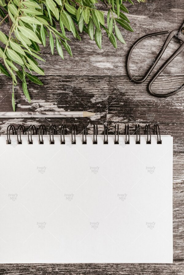 Natural Mockup 64