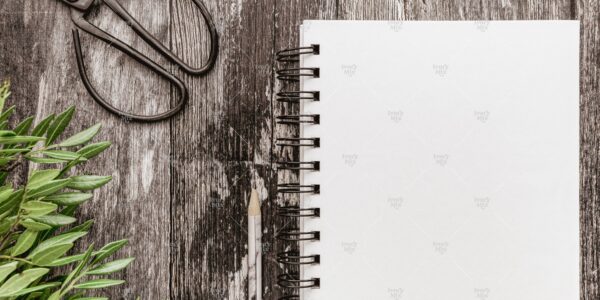 Natural Mockup 72