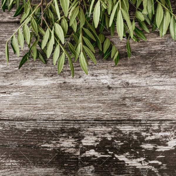 Natural Mockup 83