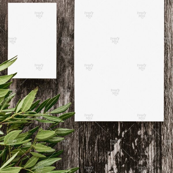Natural Mockup 88
