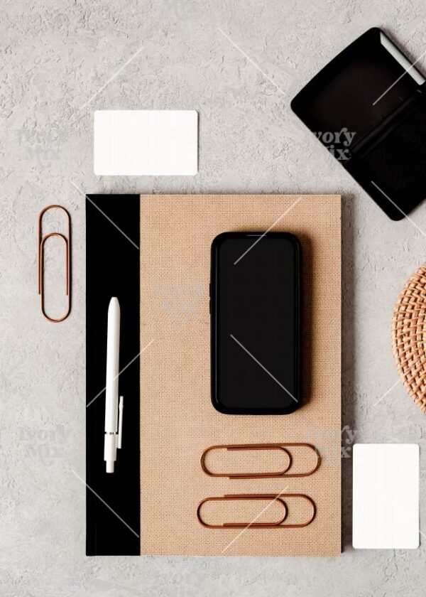 Neutral and Minimal 24