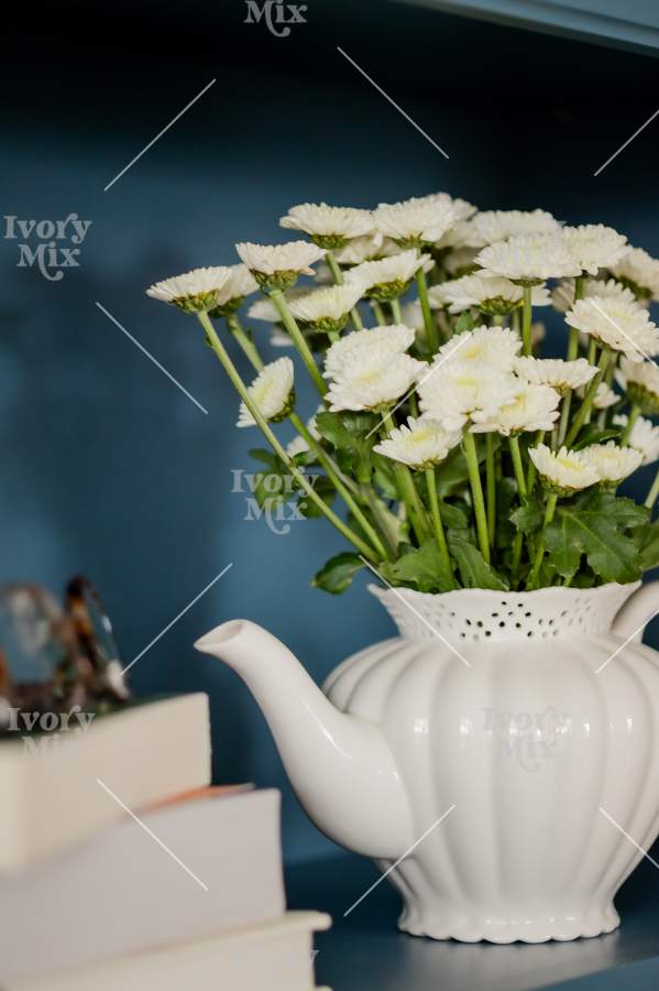 Cozy Moments at home - photo 55