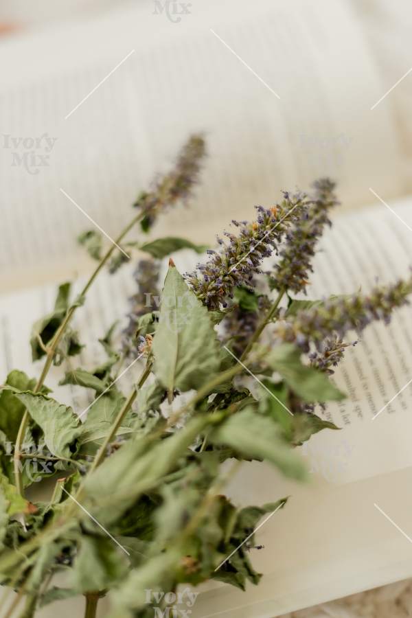Cozy Moments at home - photo 62