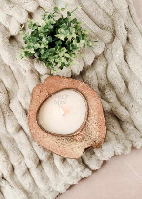 Cozy Work Minimal Photo 3